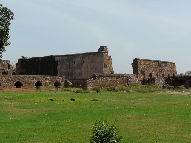 08 04 firoz kotla