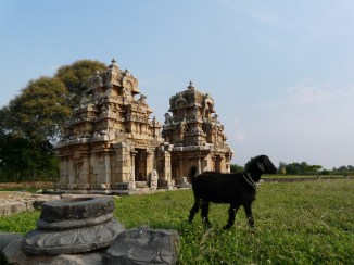 Muvarkovil (temples) and goat, Kodumbalur, Tamil Nadu