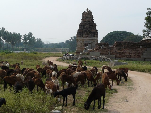 near queen bath 01 11