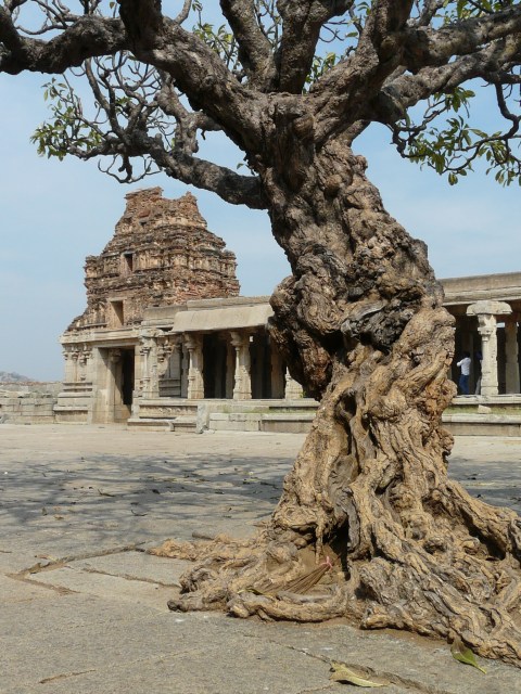 vitthala compound 06 03