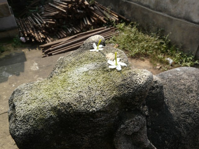 swarnajaleshwar 02 04