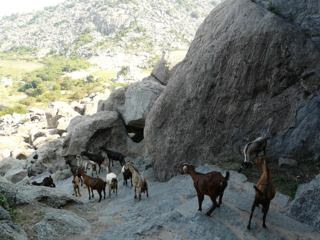 climbing rajagiri 05 07