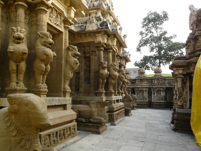 kailashnath 06 11